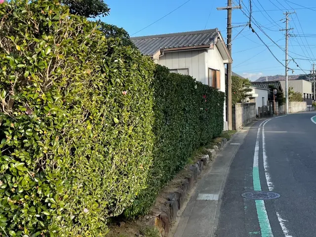 お客様に寄り添った経験と技術で対応！庭木剪定500件以上の実績！サービスの画像