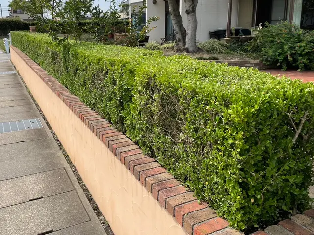 お客様に寄り添った経験と技術で対応！庭木剪定500件以上の実績！サービスの画像