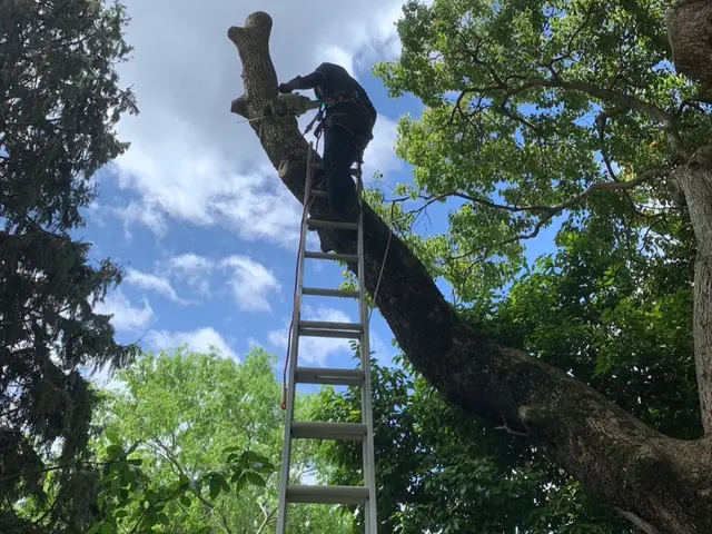 【業界歴25年の経験実績】全て自社対応◎一級造園技能士が在籍しています！サービスの画像