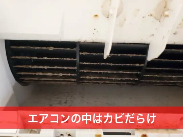 100％自社スタッフ対応！内部のカビを徹底洗浄サービスの画像