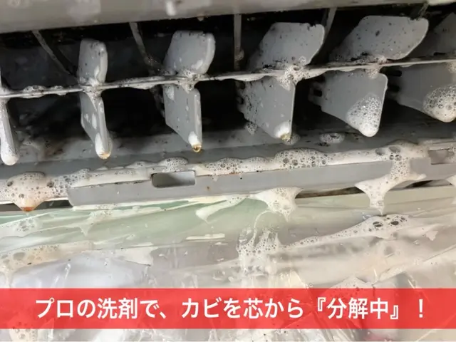 100％自社スタッフ対応！内部のカビを徹底洗浄サービスの画像