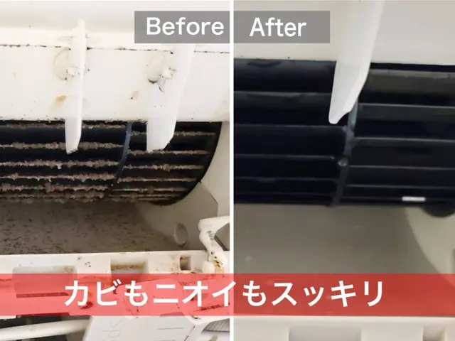 100％自社スタッフ対応！内部のカビを徹底洗浄サービスの画像