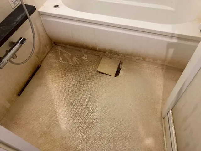 緊急対応！水回り2点駆けつけクリーニングサービスの画像