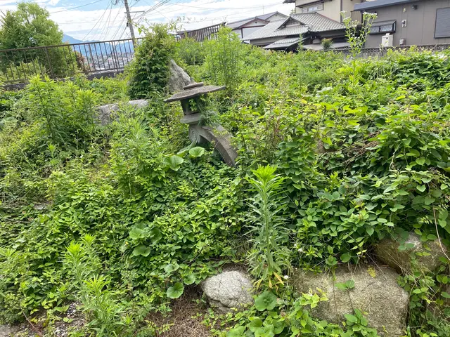 ◆業歴10年以上の経験と実績◆損害保険加入済◆懇切丁寧がモット―です！！サービスの画像