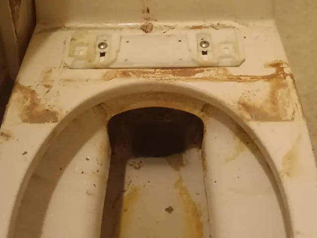 毎日使うトイレだからこそ清潔に！プロの技術と笑顔で快適空間をお届けしますサービスの画像