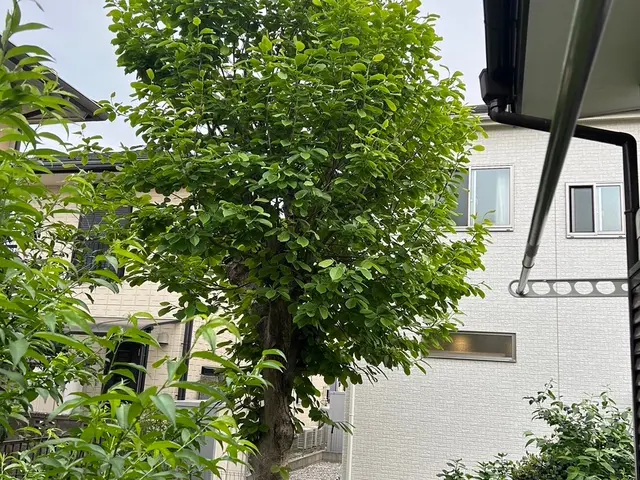 ◎夜間早朝も対応可能◎年中無休◎自信の自社対応◎大手業務経験豊富サービスの画像