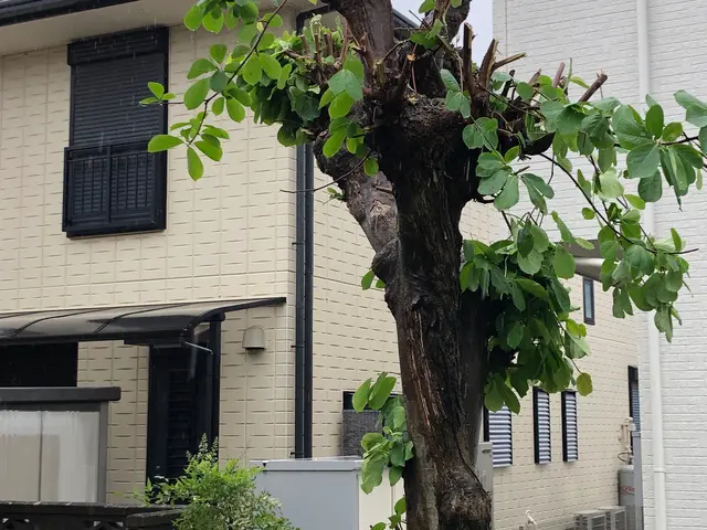 ◎夜間早朝も対応可能◎年中無休◎自信の自社対応◎大手業務経験豊富サービスの画像