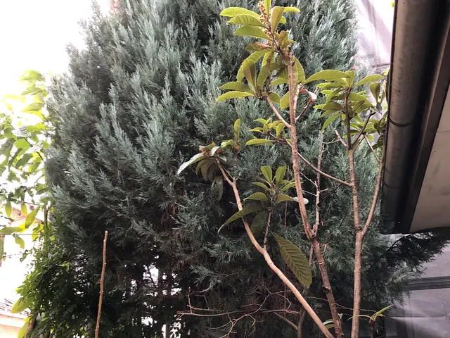 ◎夜間早朝も対応可能◎年中無休◎自信の自社対応◎大手業務経験豊富サービスの画像