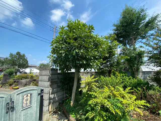 ＜栃木県　地域密着◎営業時間外の作業も相談OK＞真心込めて対応いたします！サービスの画像