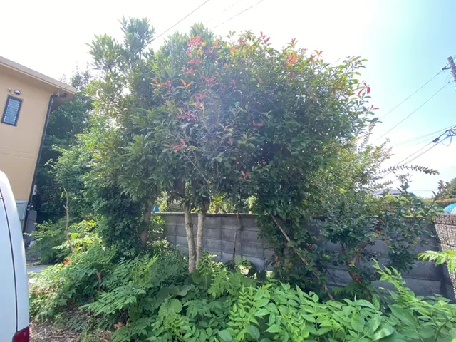 ＜栃木県　地域密着◎営業時間外の作業も相談OK＞真心込めて対応いたします！サービスの画像