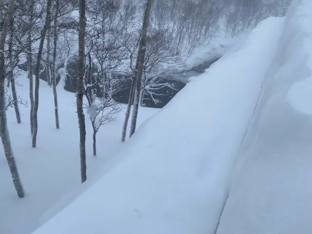 作業外注一切なし！駐車場代は当店が負担◎お気軽にご相談ください。サービスの画像