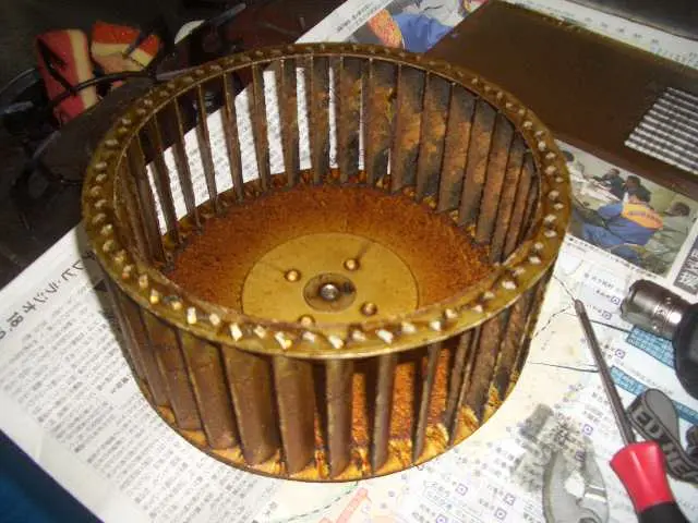 店長石田が直接施工。信頼できる地域密着店です。サービスの画像