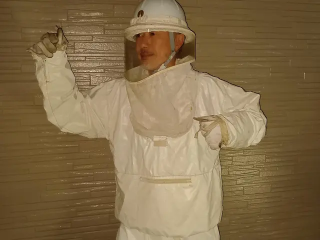 害虫獣駆除／スズメバチの巣駆除【業歴17年の経験と実績】サービスの画像