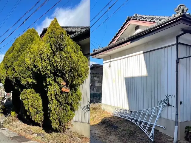 複数本お申し込みでお値引き有り！庭造り、支障木の伐採、何でもお任せください！サービスの画像