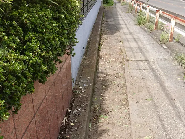 草刈り、草むしり、低木(垣根)の剪定作業随時受付中！！サービスの画像