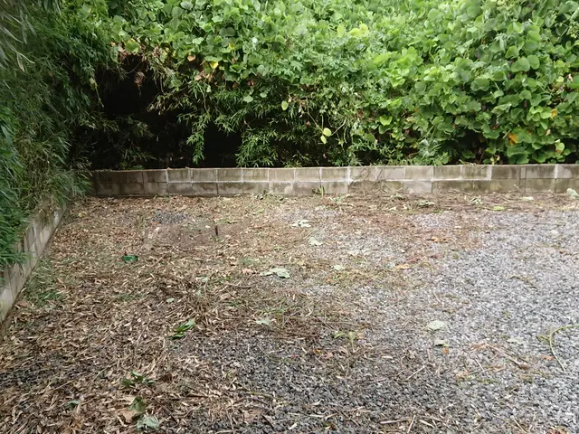 草刈り、草むしり、低木(垣根)の剪定作業随時受付中！！サービスの画像