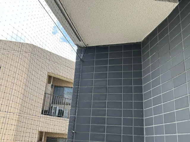 害鳥対策　ハトの対策はお任せ下さい　経験豊富サービスの画像