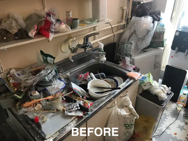 【整理収納AD】年末早期予約！今なら12月分の予約で30分延長無料【家事代行】サービスの画像