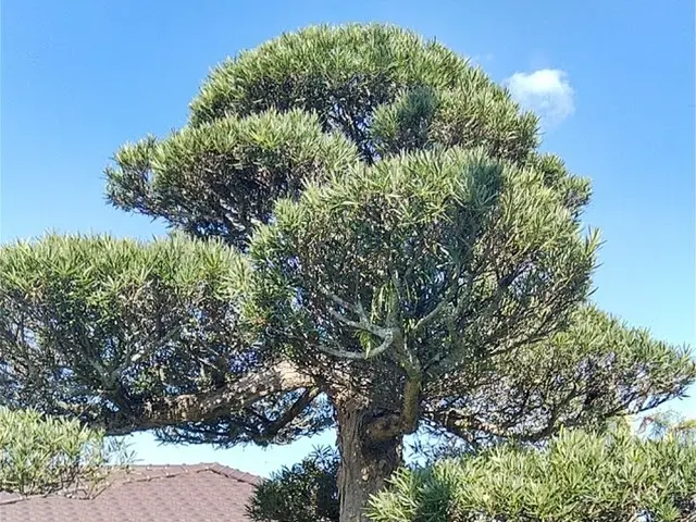 15年以上の実績を持つ店長が必ず訪問！お客様に寄り添う安心の作業サービスの画像