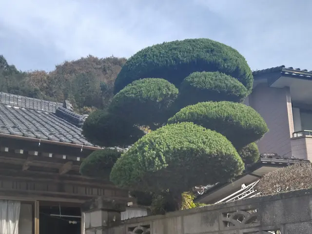 15年以上の実績を持つ店長が必ず訪問！お客様に寄り添う安心の作業サービスの画像