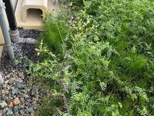 【丁寧な作業で安心安全】予約から施工まで100％自社対応【女性スタッフ同行可】サービスの画像