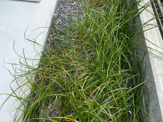 【丁寧な作業で安心安全】予約から施工まで100％自社対応【女性スタッフ同行可】サービスの画像