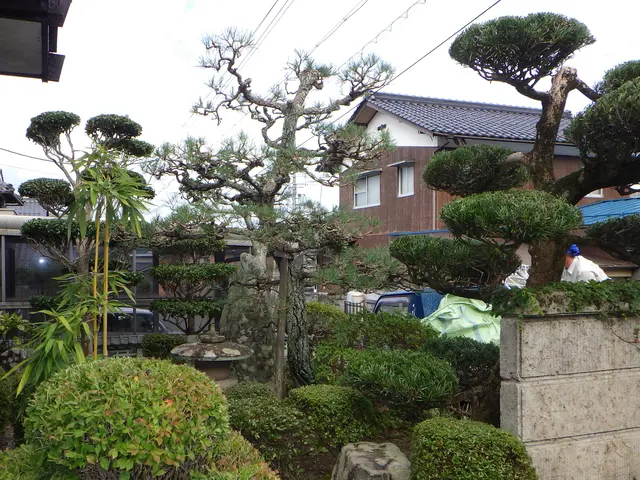 まずは、お気軽に、見積りのご依頼から、宜しく、お願いをいたします！！！サービスの画像