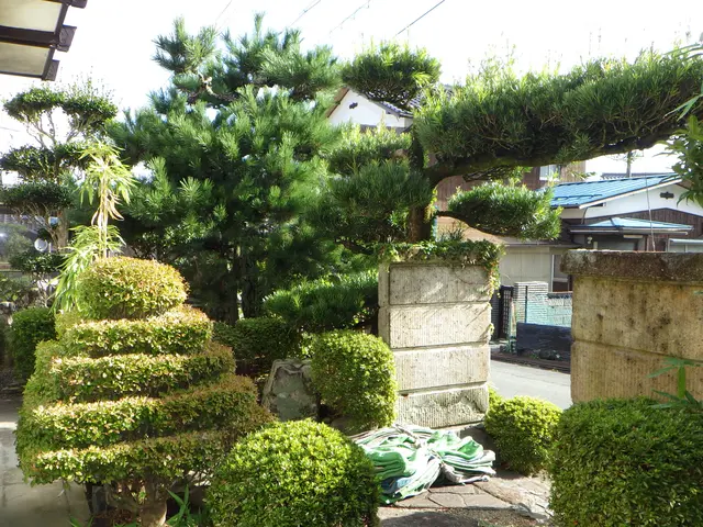 まずは、お気軽に、見積りのご依頼から、宜しく、お願いをいたします！！！サービスの画像