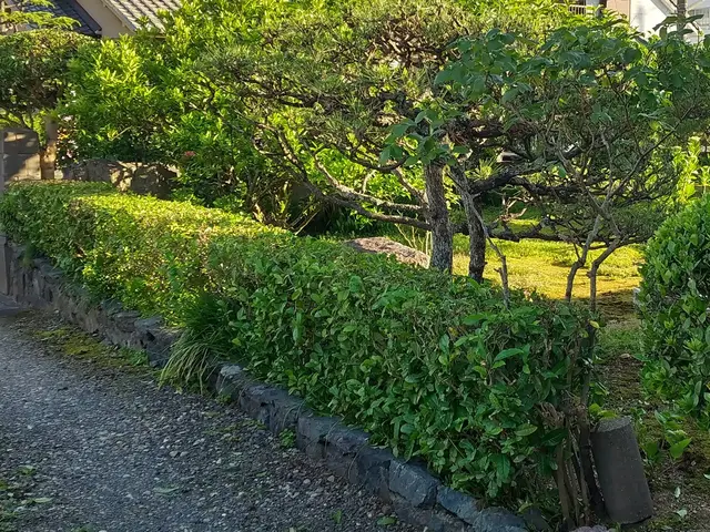 【舞鶴発】◆新規出店キャンペーン◆25年以上の実績！◎お気軽にご相談くださいサービスの画像