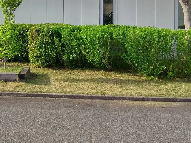 ◆30年以上の実績！お庭を美しく！サービスの画像