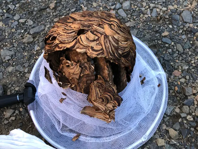 【年中無休】安心の事前見積もり◎当日の作業可能◎営業時間外のご予約もご相談下さいサービスの画像