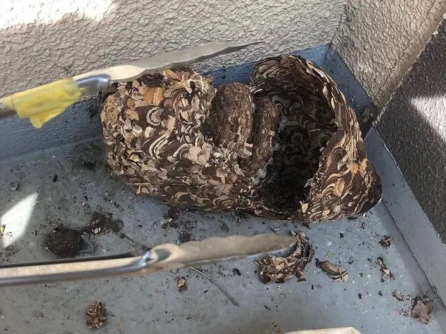 【年中無休】安心の事前見積もり◎当日の作業可能◎営業時間外のご予約もご相談下さいサービスの画像