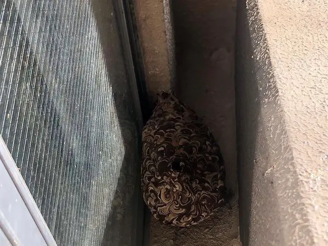 【年中無休】安心の事前見積もり◎当日の作業可能◎営業時間外のご予約もご相談下さいサービスの画像