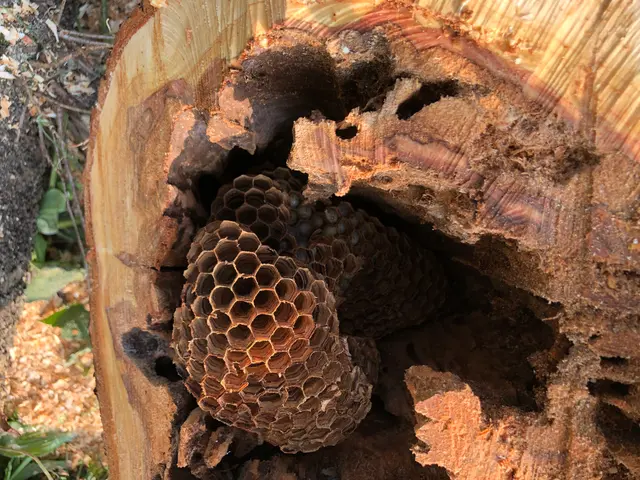 【年中無休】安心の事前見積もり◎当日の作業可能◎営業時間外のご予約もご相談下さいサービスの画像