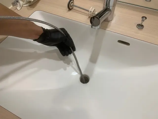 【品質保証付♫】くらま歴9年の本物です♫お任せ☆悪臭・詰まり・コバエなど害虫駆逐サービスの画像