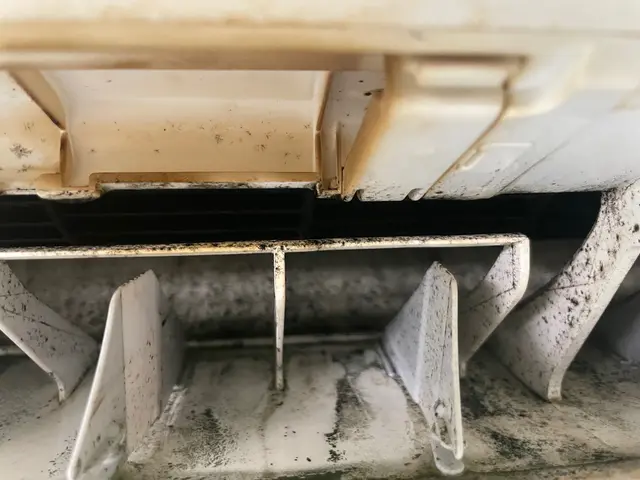 女性お一人暮らしでも安心の女性スタッフ同行◎責任を持ってご対応。損害保険加入済みサービスの画像