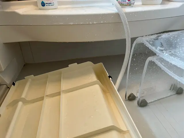 すみずみまでピカピカにします！損害保険加入店☆サービスの画像