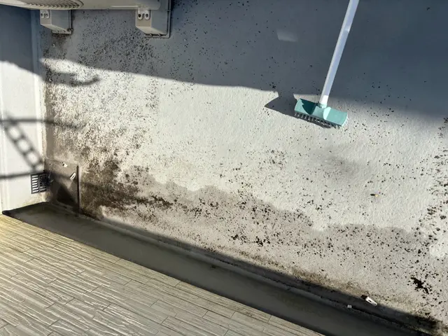 ☆女性ならではの細かい作業は、お任せ下さい！！気になる所は何度でもお掃除◎サービスの画像