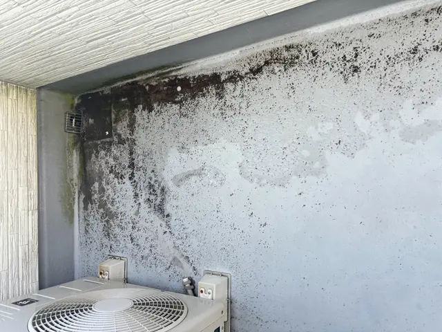 ☆女性ならではの細かい作業は、お任せ下さい！！気になる所は何度でもお掃除◎サービスの画像