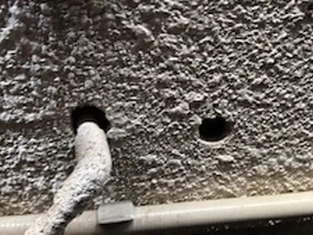 安心実績で徹底駆除◎無料でのアフターフォローも万全対応サービスの画像