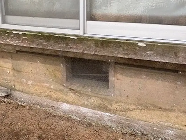 安心実績で徹底駆除◎無料でのアフターフォローも万全対応サービスの画像