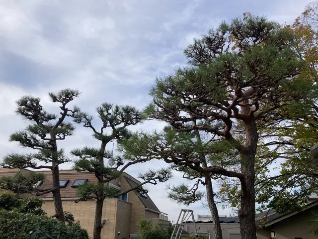 【1000件超の実績！】舞子公園も手がける丁寧で美しい仕上がりの庭づくりサービスの画像