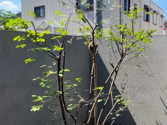 私がお伺いします！お庭のお困り事を解決致します。サービスの画像