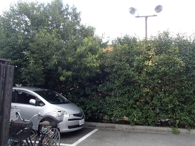 土日祝対応可能◎、庭木一本からでもお気軽にどうぞ！サービスの画像