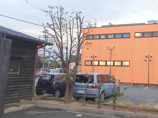 土日祝対応可能◎、庭木一本からでもお気軽にどうぞ！サービスの画像