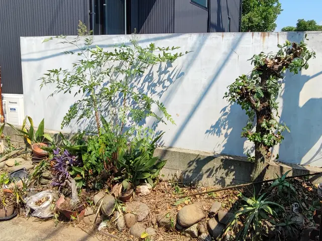 私がお伺いします！お庭のお困り事を解決致します。サービスの画像