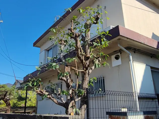 私がお伺いします！お庭のお困り事を解決致します。サービスの画像