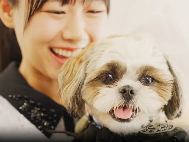 業界3年以上、ペット資格保有スタッフによる豊富なノウハウで安心ペットシッター◎サービスの画像