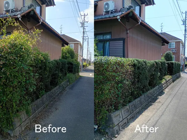 伸びた生垣をスッキリ綺麗に！経験と知識を活かして迅速、丁寧に作業いたします。サービスの画像