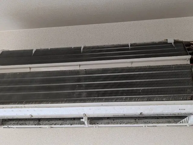 11月キャンペーン◎抗菌無料◎夫婦二人で伺います◎赤ちゃんペットも安心のエコ洗剤サービスの画像